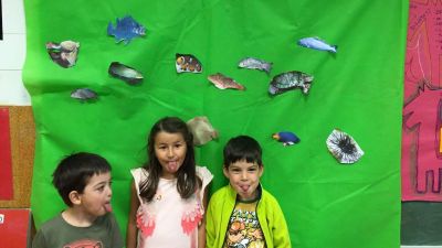 Preme para ver a foto ampliada