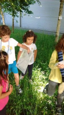 Preme para ver a foto ampliada