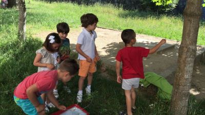 Preme para ver a foto ampliada