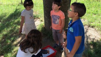 Preme para ver a foto ampliada