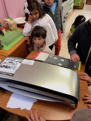 Preme para ver a foto ampliada