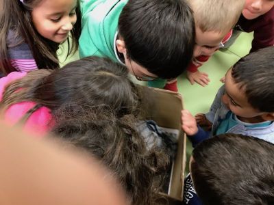 Preme para ver a foto ampliada