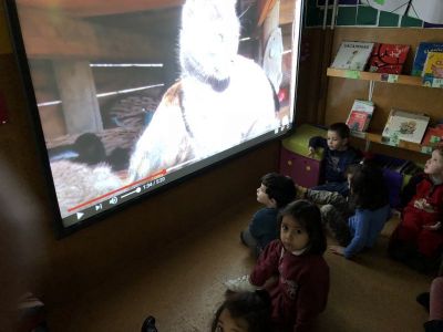 Preme para ver a foto ampliada