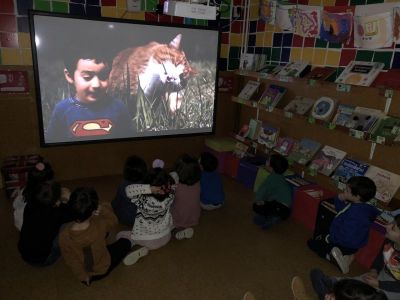 Preme para ver a foto ampliada