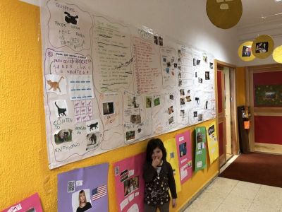 Preme para ver a foto ampliada