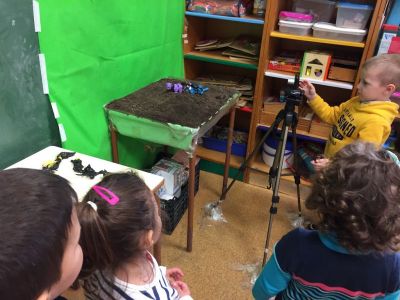 Preme para ver a foto ampliada