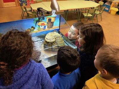 Preme para ver a foto ampliada