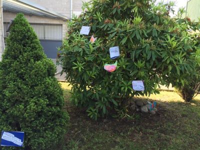 Preme para ver a foto ampliada