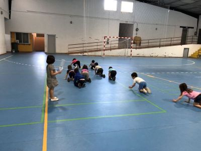 Preme para ver a foto ampliada