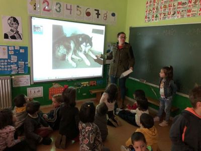 Preme para ver a foto ampliada