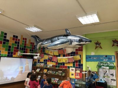 Preme para ver a foto ampliada