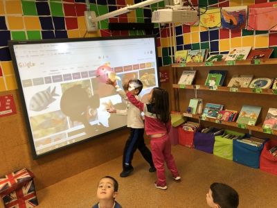 Preme para ver a foto ampliada