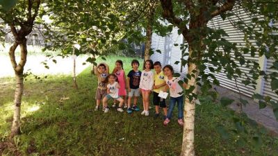 Preme para ver a foto ampliada