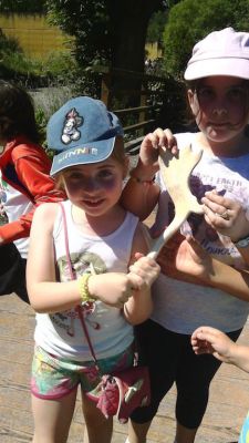 Preme para ver a foto ampliada