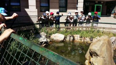 Preme para ver a foto ampliada