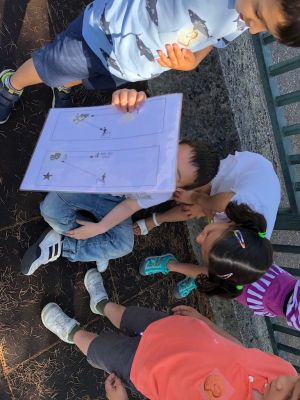 Preme para ver a foto ampliada