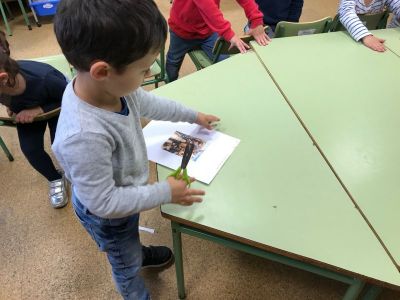 Preme para ver a foto ampliada