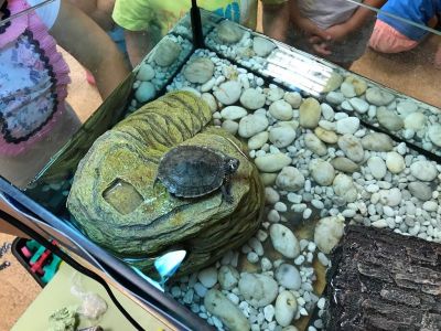 Preme para ver a foto ampliada