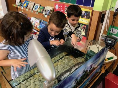 Preme para ver a foto ampliada