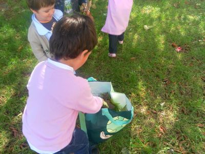Preme para ver a foto ampliada