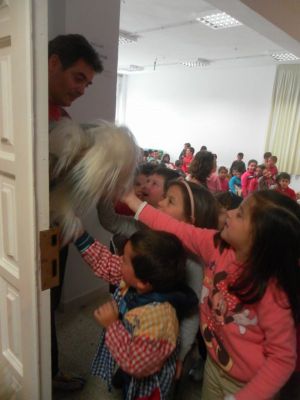 Preme para ver a foto ampliada