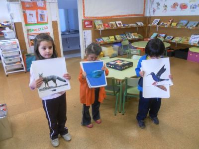 Preme para ver a foto ampliada