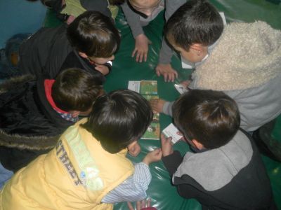 Preme para ver a foto ampliada