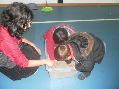 Preme para ver a foto ampliada