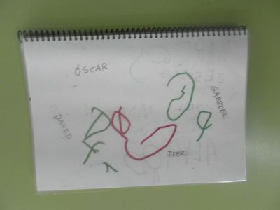 Preme para ver a foto ampliada