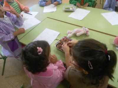 Preme para ver a foto ampliada