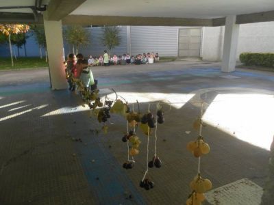 Preme para ver a foto ampliada