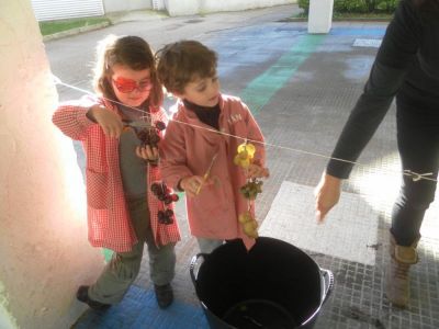 Preme para ver a foto ampliada