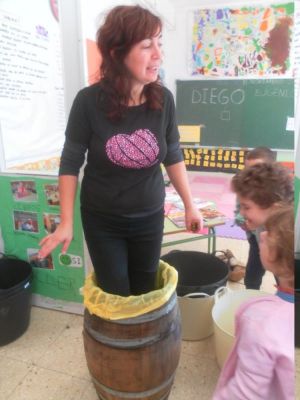 Preme para ver a foto ampliada