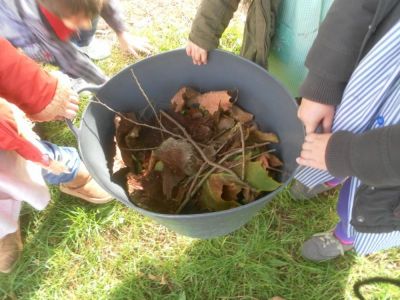 Preme para ver a foto ampliada