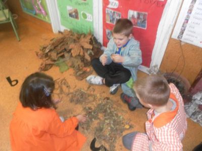 Preme para ver a foto ampliada