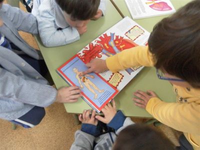 Preme para ver a foto ampliada