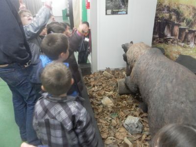 Preme para ver a foto ampliada