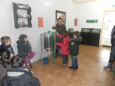 Preme para ver a foto ampliada