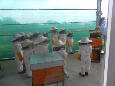 Preme para ver a foto ampliada