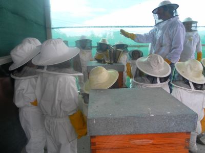 Preme para ver a foto ampliada