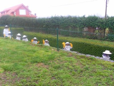 Preme para ver a foto ampliada