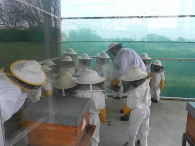 Preme para ver a foto ampliada