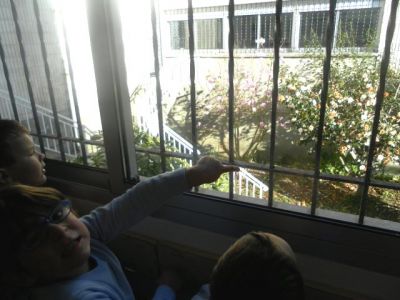 Preme para ver a foto ampliada