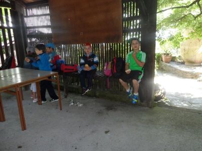 Preme para ver a foto ampliada