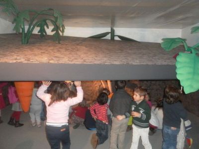 Preme para ver a foto ampliada