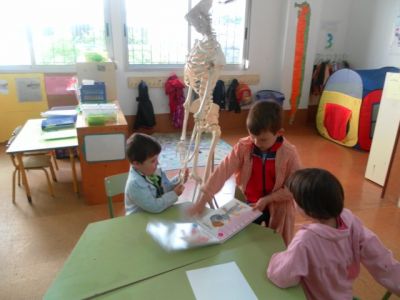 Preme para ver a foto ampliada