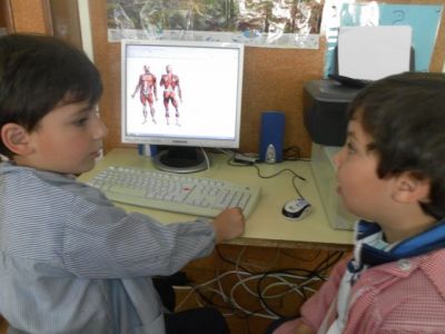 Preme para ver a foto ampliada