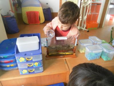 Preme para ver a foto ampliada