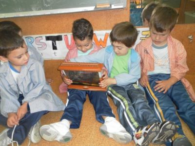 Preme para ver a foto ampliada