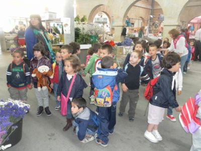 Preme para ver a foto ampliada